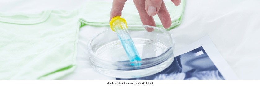 Panorama Of Test Tube And In Vitro Assay