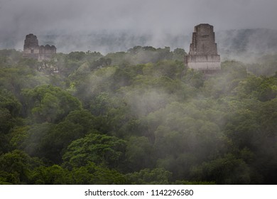 Panorama Of Tikal National Park