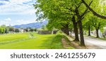 Panorama of trees on the historic surrounding city wall of Lucca, Italy