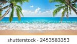 panorama of tropical beach with coconut palm trees