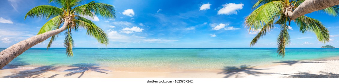 панорама тропического пляжа с кокосовыми пальмами