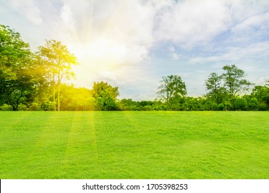 Panorama And Tropical Garden And Green Grass, The Sun Shines.