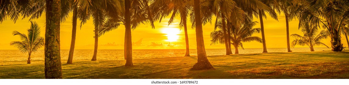 Panorama Of A Tropical Landscape. Palm Trees And The Sea, The Shoreline. Yellow Tinting