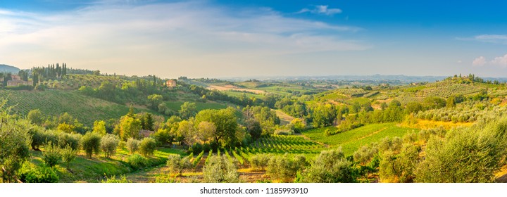 panorama of the Tuscan valley at sunset, many guest villas on the hills, Italy. Europe - Powered by Shutterstock