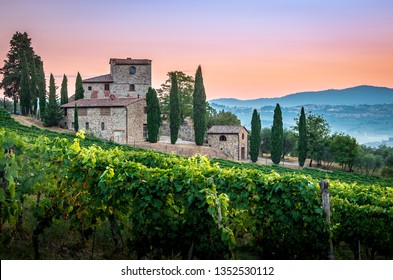 Panorama of Tuscan vineyard covered in fog at the dawn near Castellina in Chianti, Italy - Powered by Shutterstock