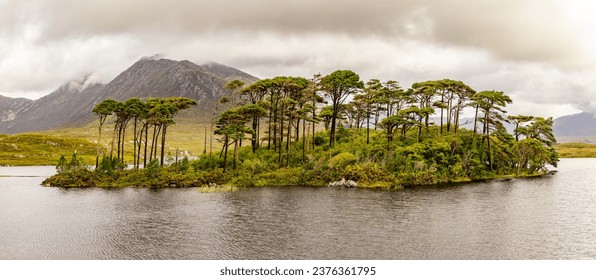 Panorama of the Twelve Pines at Derryclare Lough, Conemara, Galway, Ireland