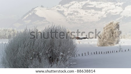 Panorama of the tyrolean valley early frosty morning - Austria