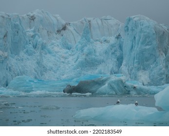 Panorama view of the 14th of July Glacier or the Fjortende Julibreen. Is a beautiful glacier found in northwestern Spitsbergen. Floating Pack Ice in the arctic ocean. Svalbard, Norway