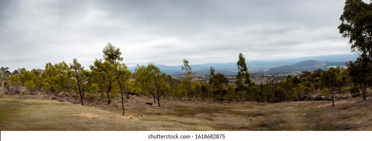 Panorama View Of An Australian Bush Clearing, Featuring Distant Rolling Hills And Patchy Woodlands. This Area Was Recently Destroyed By A Firestorm (right) But Regrowth Is Evident. Storm Clouds.