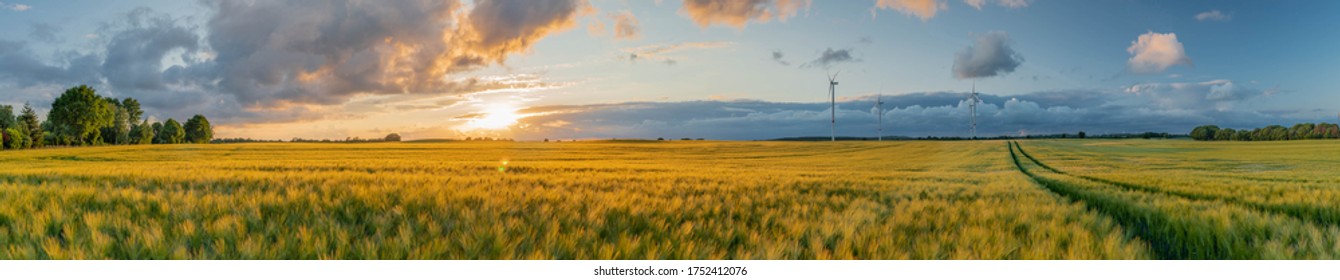 Panorama view of beautiful countryside scene cultivated fields with wind turbines. Rural landscape with green wheat field in countryside - Shutterstock ID 1752412076