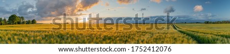 Panorama view of beautiful countryside scene cultivated fields with wind turbines. Rural landscape with green wheat field in countryside