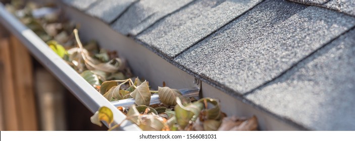 Panorama View Clogged Gutter Near Roof Shingles Of Residential House Full Of Dried Leaves And Dirty Need To Clean-up. Blocked Drain Pipe On Rooftop. Gutter Cleaning, Home Maintenance Concept