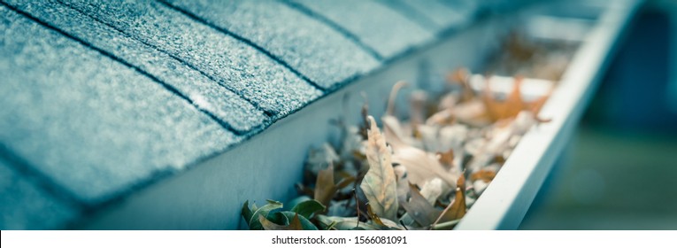 Panorama view clogged gutter near roof shingles of residential house full of dried leaves and dirty need to clean-up. Blocked drain pipe on rooftop. Gutter cleaning, home maintenance concept