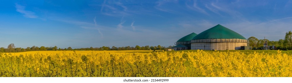 Panorama view of countryside with biogas plant. Yellow flowering rapeseed field with agricultural factory in the countryside. Renewable energy from biomass.  - Shutterstock ID 2154492999