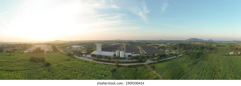 Panorama View Of The Feed Mill And Animal House