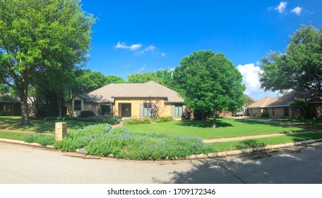 Panorama view front yard entrance of typical residential house in suburbs Dallas, Texas, America with blossom bluebonnet flower. Blooming wildflower under sunny cloud blue sky