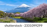 Panorama view of Mountain fuji in Japan during cherry blossom spring season