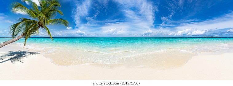 panorama view on tropical beautiful paradise beach with coco palm tree and turquoise blue clear water. tourism vacation and relaxation wide background