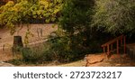 Panorama view path meanders past retaining wall and trail signpost, framed by leafless trees and autumn tones, with staircase railing guiding visitors through the wooded terrain, Coppell, Texas. USA