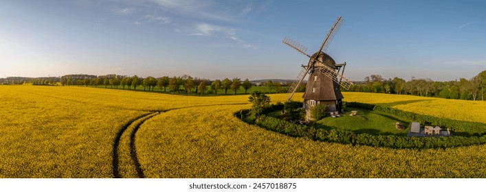 Panorama view of rapeseed field with three-story earth-hollander windmill. Banner from bright yellow rapeseed field with an old windmill. - Powered by Shutterstock