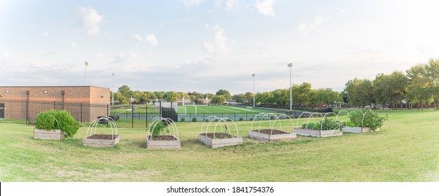 Panorama View Row Of Raised Bed Garden With PVC Pipe For Cold Frame Support At Elementary School Near Dallas, Texas, America. School Gardening Football Field Stadium With Running Tracks