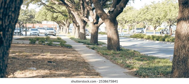 Panorama view sidewalk pathway under lush green tree lined street near City Hall in downtown Farmers Branch, Texas, suburb Dallas in DFW metroplex, lush greenery Southern oak, well maintained. USA - Powered by Shutterstock