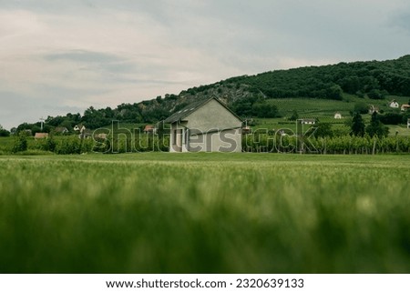 Panorama view of Villany or Villány town near Pecs, Hungary in summer is beautiful with the countryside and rural life with grape fields and small houses
