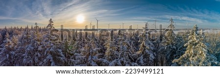 Panorama view of winter landscape with fir tree covered with snow and windmils on the background. Pine trees covered with snow on frosty morning. Beautiful winter panorama.