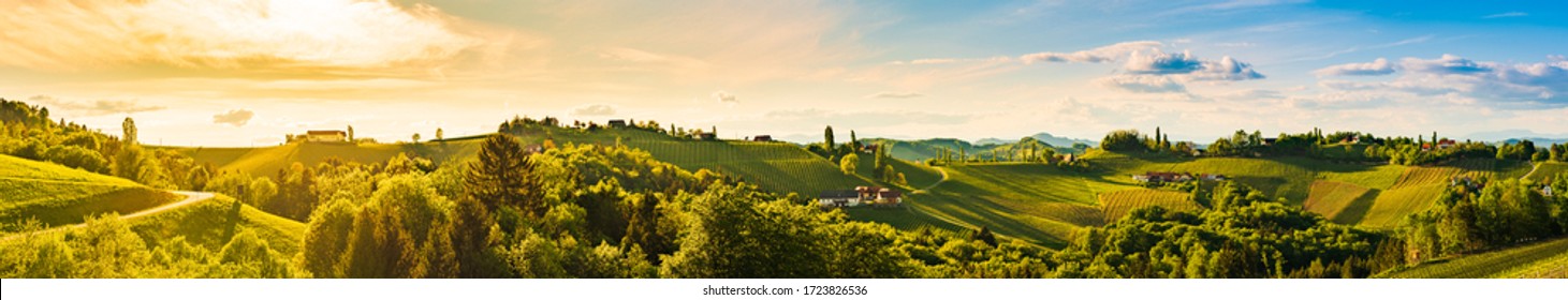 Panorama of vineyards hills in south Styria, Austria. Tuscany like place to visit. Landscape during spring sunset.