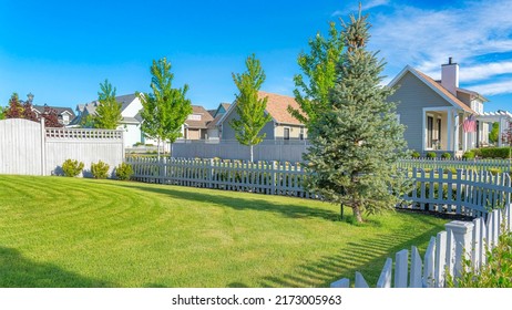 Panorama white clouds White picket fence of a yard with green lawn and pine tree at Daybreak, Utah. There are fenced houses with large yards