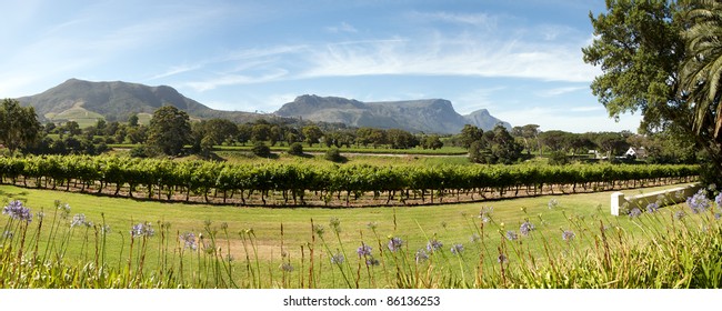 Panorama Of A Wine Producer In Cape Town, South Africa.