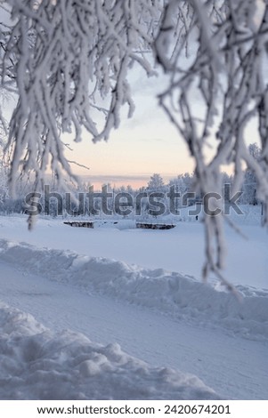 Panorama of a winter park. Road with snowdrifts, frozen river and destroyed bridge, snow-covered trees. Branches in blur. Day during the polar night.