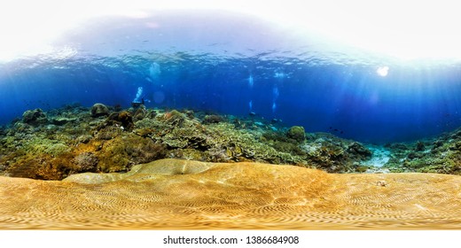Panoramic 360 degree. Underwater shooting. The sun shines through the water. Scuba divers, corals and starfish.