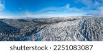Panoramic aerial view of the boreal forest frozen in the cold