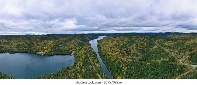 Panoramic Aerial View Of The Boreal Forest During Fall