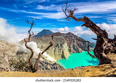 Panoramic Aerial View Crater Of Active Volcano Ijen And Dead Tree, Java Island, Indonesia