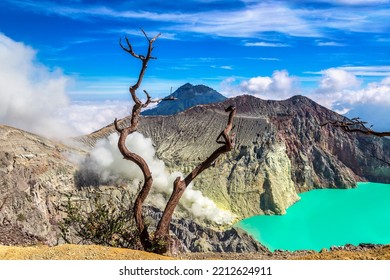 Panoramic Aerial View Crater Of Active Volcano Ijen And Dead Tree, Java Island, Indonesia