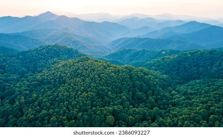 Panoramic aerial view Forest of morning time with long distance mountain  - Powered by Shutterstock