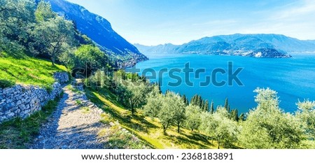 Panoramic aerial view of Lake Como in Italy from Varenna with clear sky on sunny day. Mediterranean landscape with cypress and olive trees.