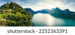 Panoramic aerial view of Lake of the Four Cantons, Morschach, Switzerland.