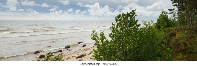 Panoramic Aerial View Of The Rocky Baltic Sea Shore, Pine Forest. Summer. Gulf Of Riga, Latvia. Dramatic Sky, Storm Waves. Fickle Weather. Vacations, Travel Destinations, Ecotourism. Nature, Seascape