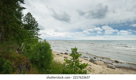 Panoramic Aerial View Of The Rocky Baltic Sea Shore, Pine Forest. Summer. Gulf Of Riga, Latvia. Dramatic Sky, Storm Waves. Fickle Weather. Vacations, Travel Destinations, Ecotourism. Nature, Seascape