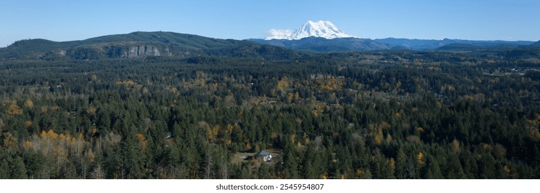 A panoramic aerial view showcasing a dense forest landscape in the foreground with the majestic snow-capped Mount Rainier standing tall in the background, set under a clear blue sky. - Powered by Shutterstock