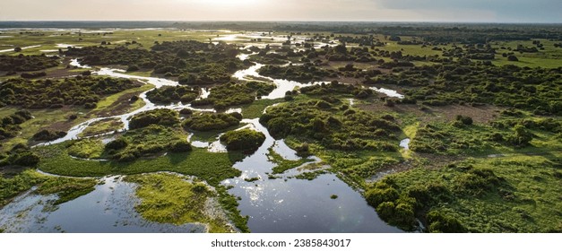 Panoramic aerial view at sunset of typical Pantanal Wetlands landscape with  lagoons, forests, meado - Powered by Shutterstock