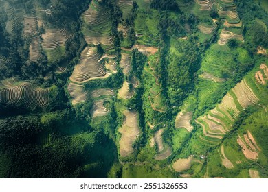 Panoramic, Aerial View of Terraced Rice Fields in deep Lao Chai Valley, Vietnam. Curves, Lines, Ideal for Agriculture and Travel Themes. - Powered by Shutterstock