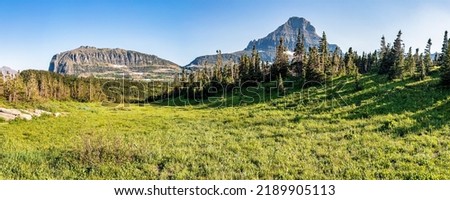 Panoramic of alpine meadow at Logan Pass, Glacier National Park, Montana, USA