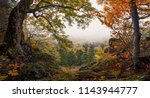 Panoramic Autumn Forest Landscape With View Of Mountain Misty Valley And Colorful Autumn Forest. Enchanted Autumn Foggy  Forest With Red And Yellow Falling Leaves On The Ground. Window To Nature