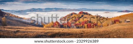 Panoramic autumn view of mountain village. Foggy morning scene of Carpathian mountains, Sokilsky ridge, Ukraine, Europe. Beauty of countryside concept background.