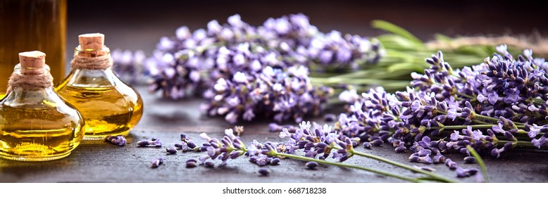 Panoramic banner or header of fresh purple lavender with flacons of essential oil for aromatherapy, alternate medicine and perfumery