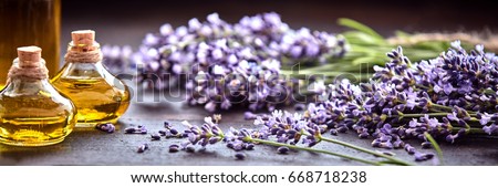 Panoramic banner or header of fresh purple lavender with flacons of essential oil for aromatherapy, alternate medicine and perfumery